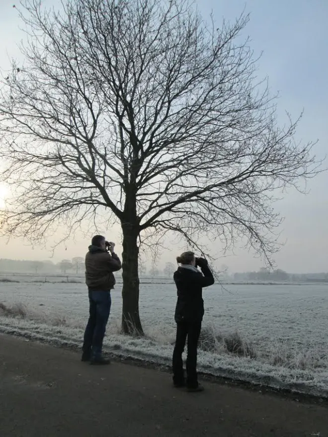 Two people viewed from behind using binoculars near a bare tree in a frosty rural field