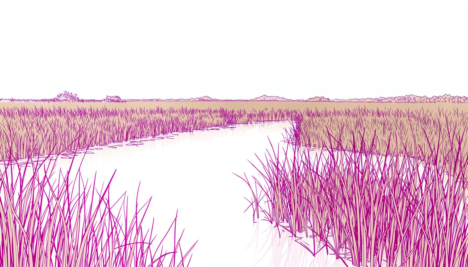 Wide wetland marsh at dawn with tall grasses and still water reflecting pale sky, muted browns and soft gold tones