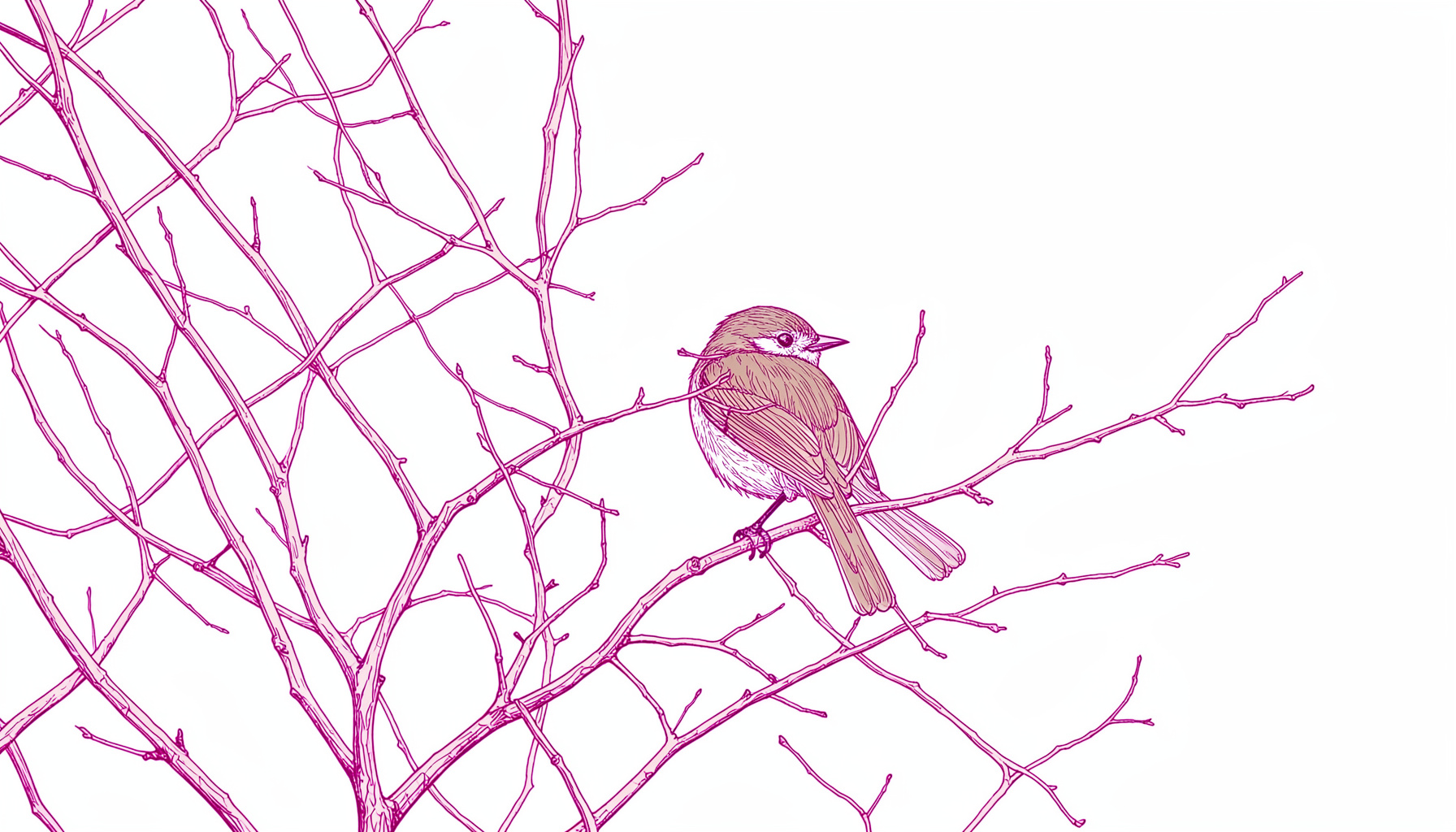 A small bird perched among bare winter branches against a pale overcast sky, muted browns and grays